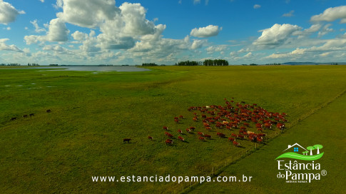 DOS EÓLICOS VIRA P FAZENDA_Moment.00_02_23_07.Quadro189_6a5d277070f6b77c0f816183ca0253c8c99c39a8.jpg